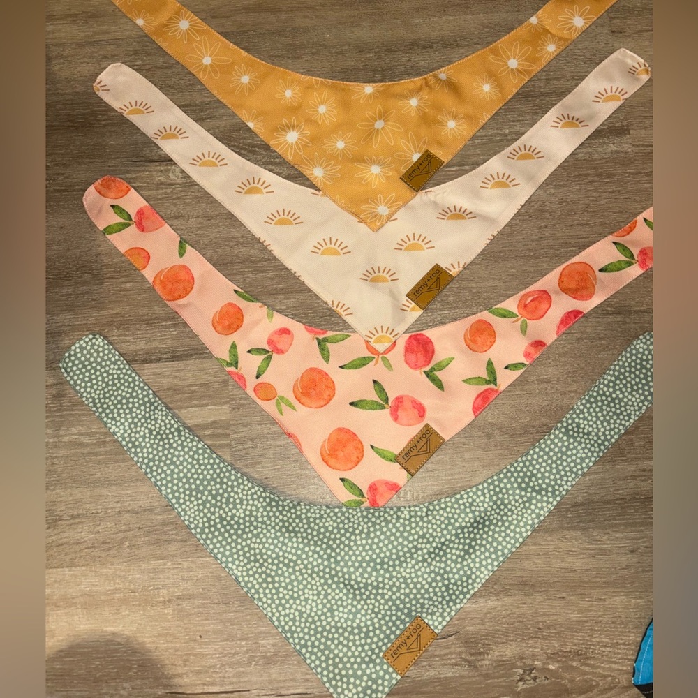 Small dog bandanas set of 4